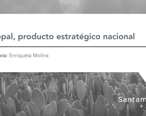 ARTICULOS NOPAL 1