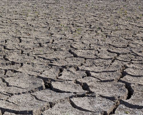 bigstock Dry Land In The Dry Season Dro 475851371