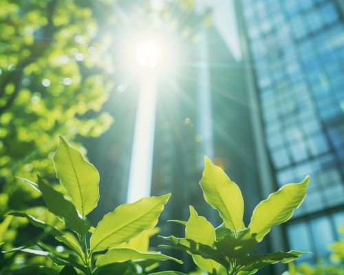 santamarina steta sostenibilidad empresarial