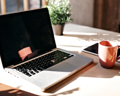 santamarina y steta plataformas digitales en México