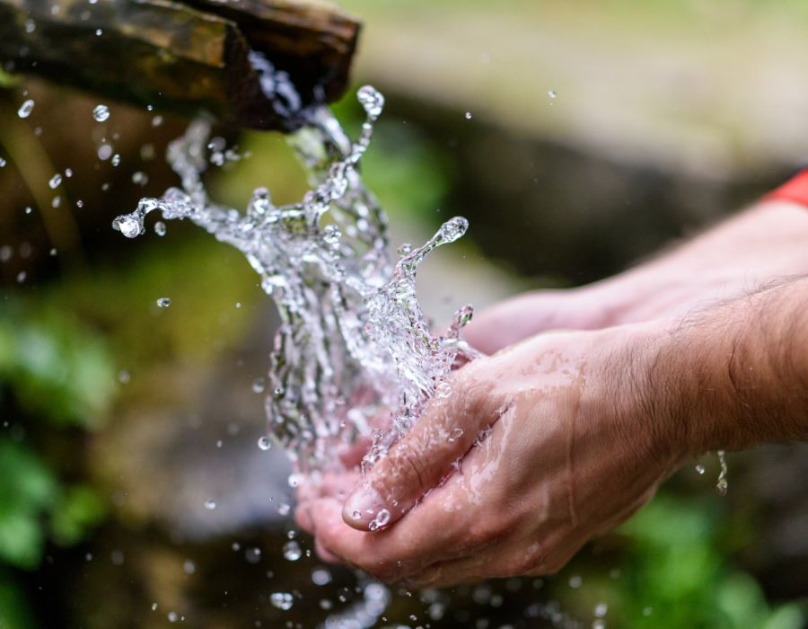 shutterstock 506297470