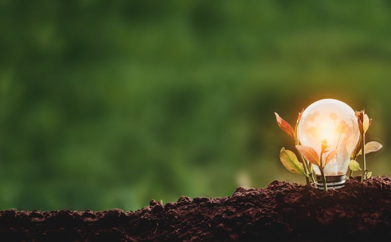 santamarina steta arbitraje sustentable