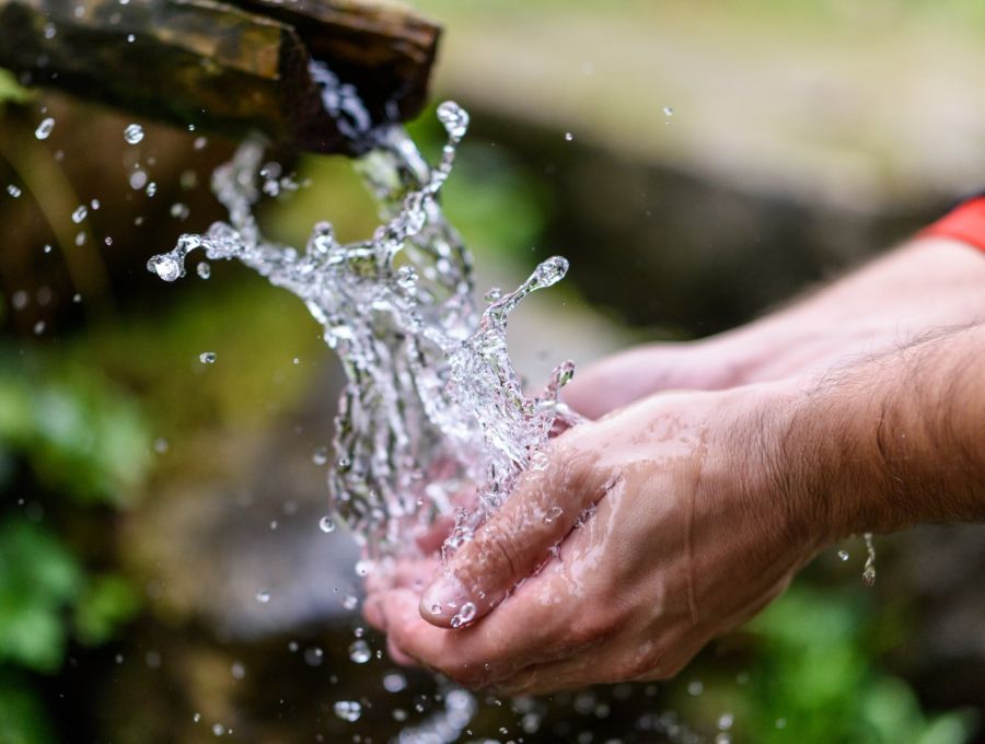 shutterstock 506297470