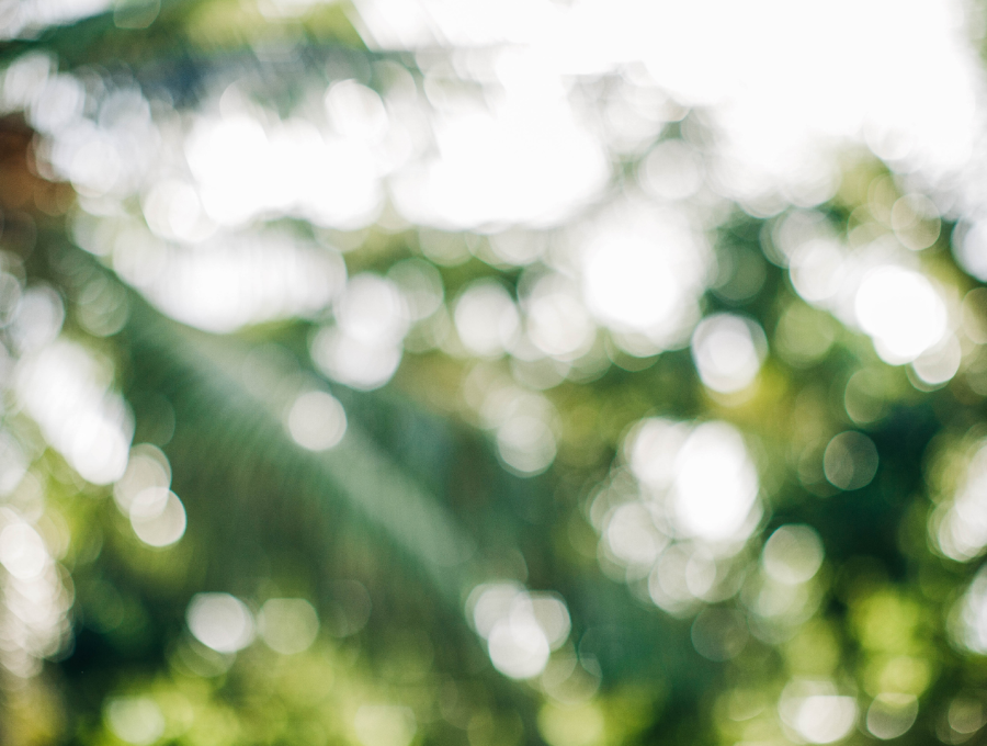 santamarina steta ley general de economía circular