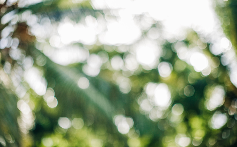 santamarina steta ley general de economía circular