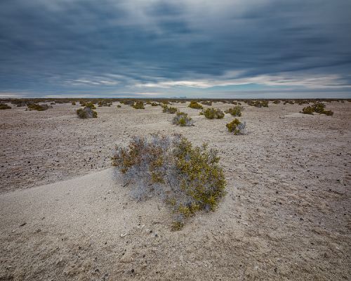 bigstock Desert Coast Of San Ignacio La 344239015