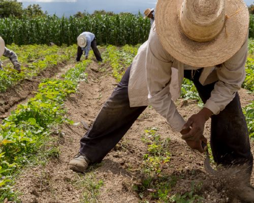 UPDATE Reforma a la Ley Federal del Trabajo SITIO