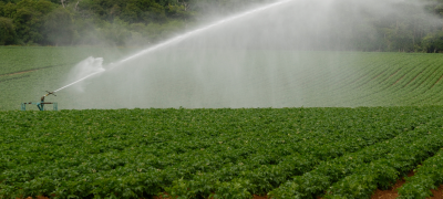 santamarina steta concesión de aguas agrícolas 2