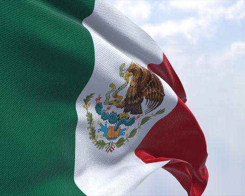 shutterstock 2444873741 scaled 1