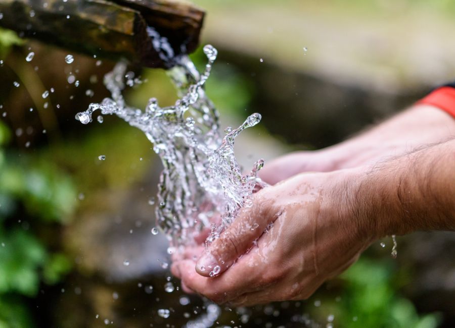 shutterstock 506297470