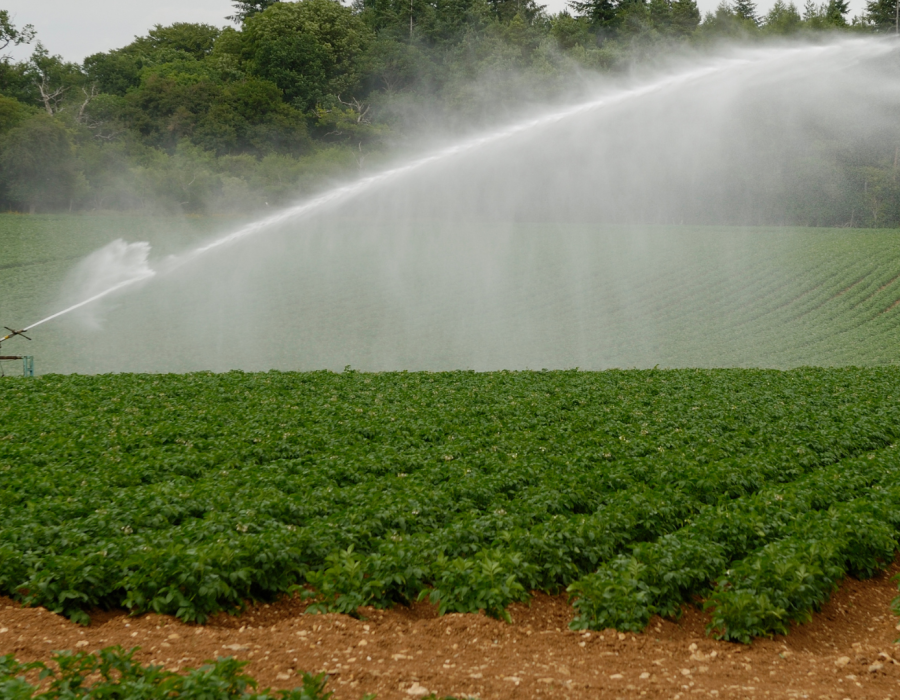 santamarina steta concesión de aguas agrícolas 2