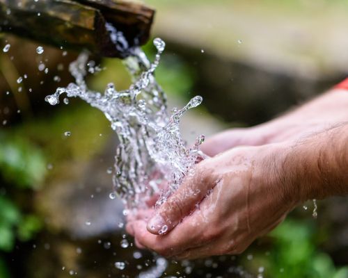 shutterstock 506297470