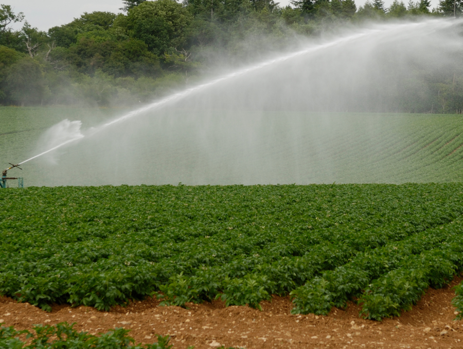 santamarina steta concesión de aguas agrícolas 2