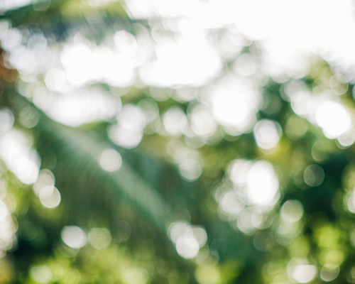 santamarina steta ley general de economía circular