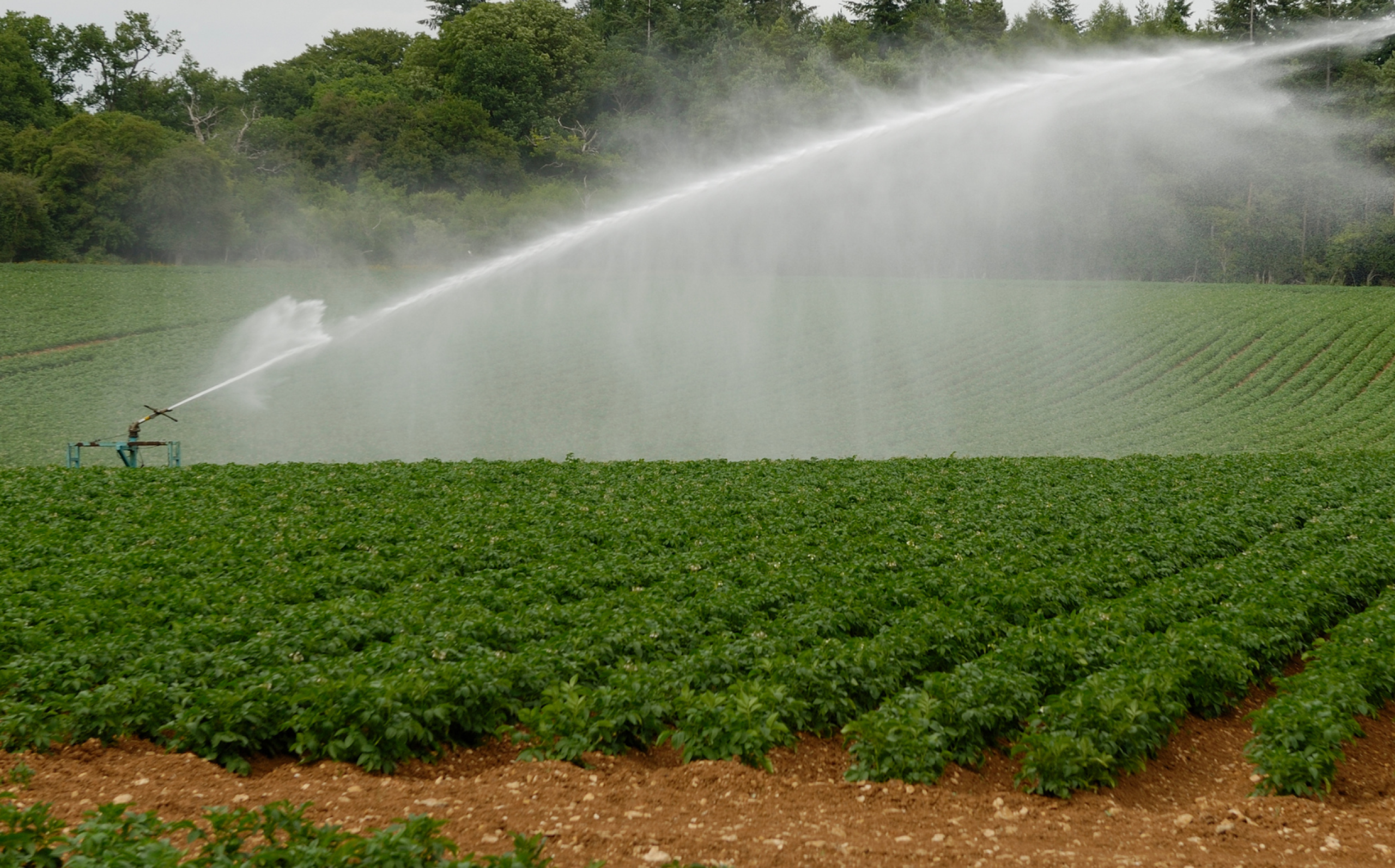 santamarina steta concesión de aguas agrícolas 2