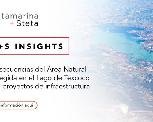 Consecuencias del area natural protegida en el lago de texcoco para proyectos