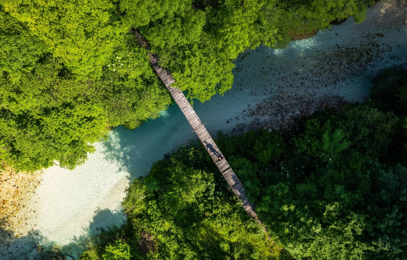 Santamarina mas steta home nuestro talento