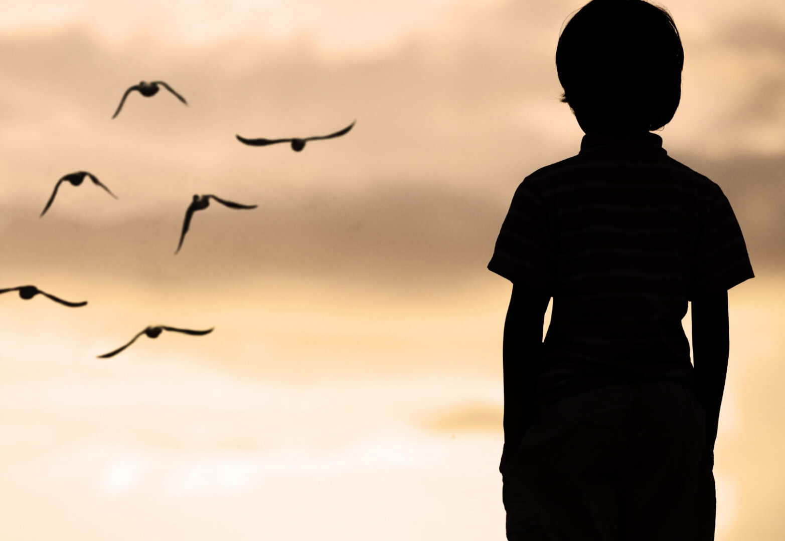 Santamarina mas steta soluciones areas de practica migratorio