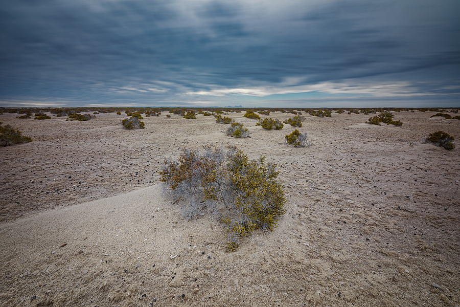 bigstock Desert Coast Of San Ignacio La 344239015