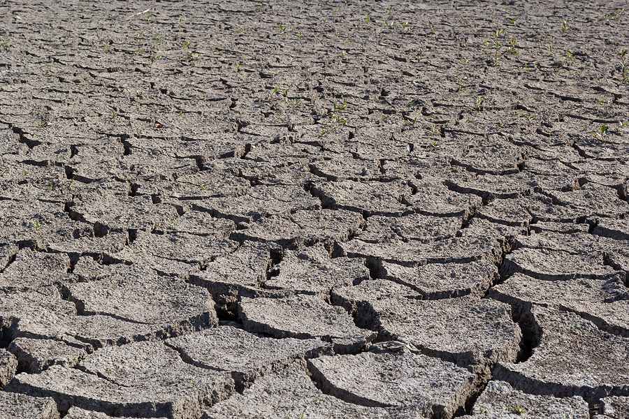 bigstock Dry Land In The Dry Season Dro 475851371