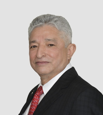 perfiles en gobmx diretcorio CP