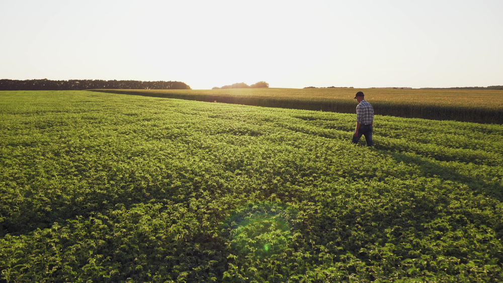 shutterstock 1429817768