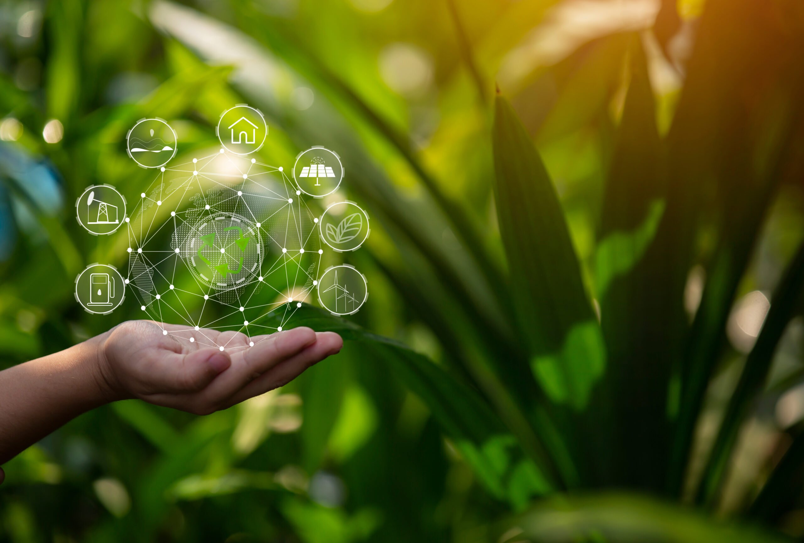 shutterstock 1723384510 scaled 1