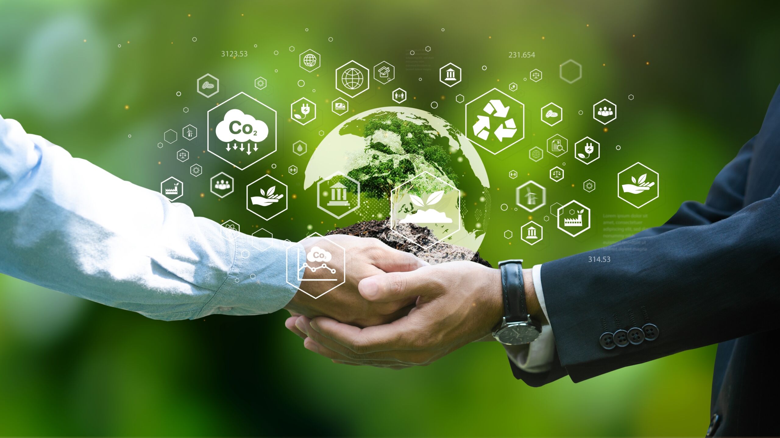 shutterstock 2272107351 1 scaled 1