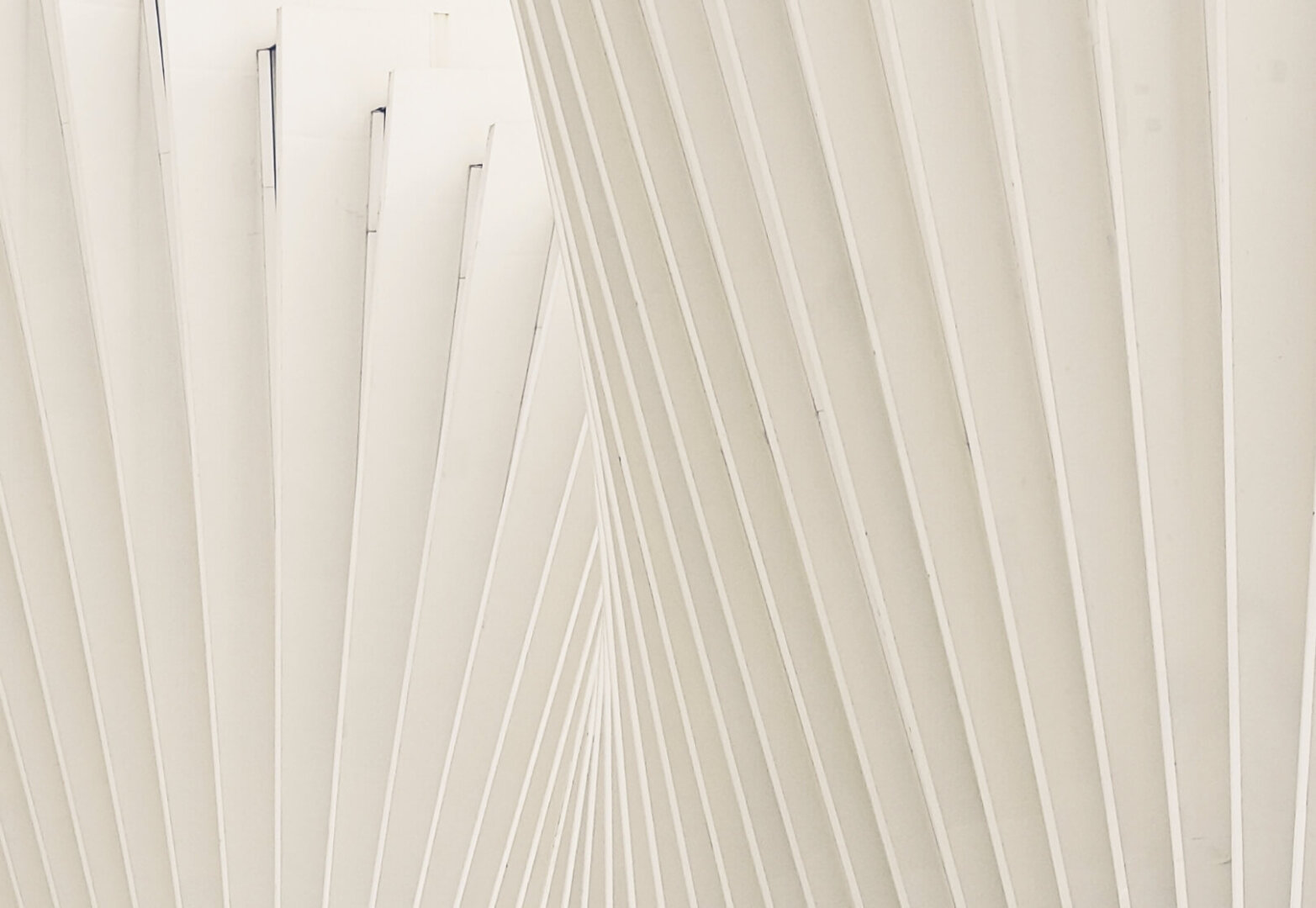 Santamarina mas steta soluciones areas de practica derecho de las tecnologias