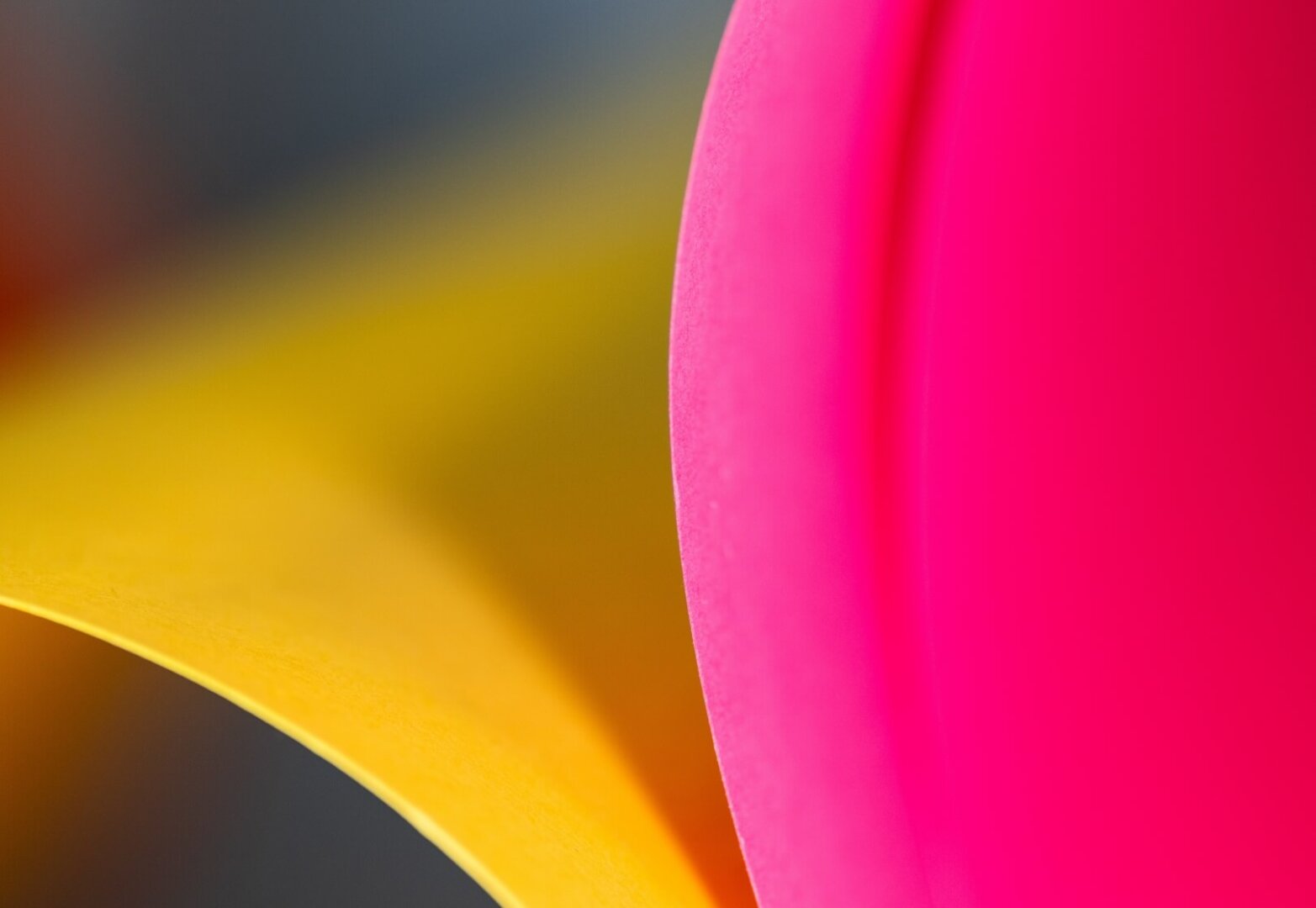 Santamarina mas steta soluciones areas de practica licitaciones y privatizaciones