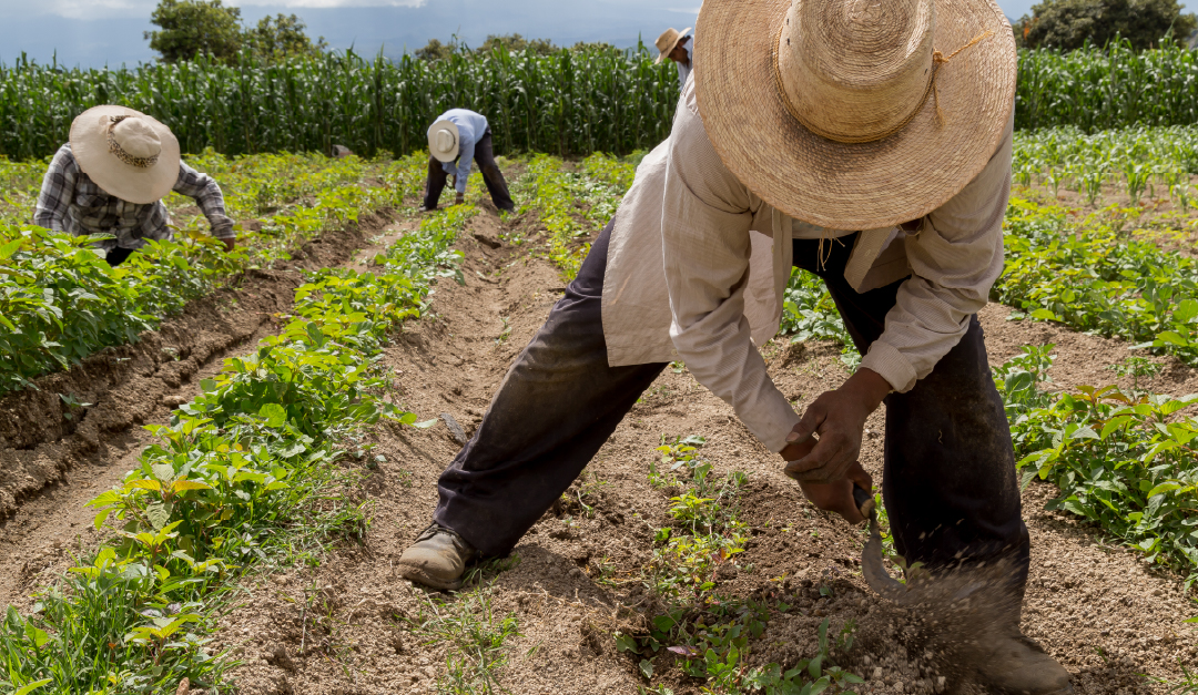 UPDATE Reforma a la Ley Federal del Trabajo SITIO