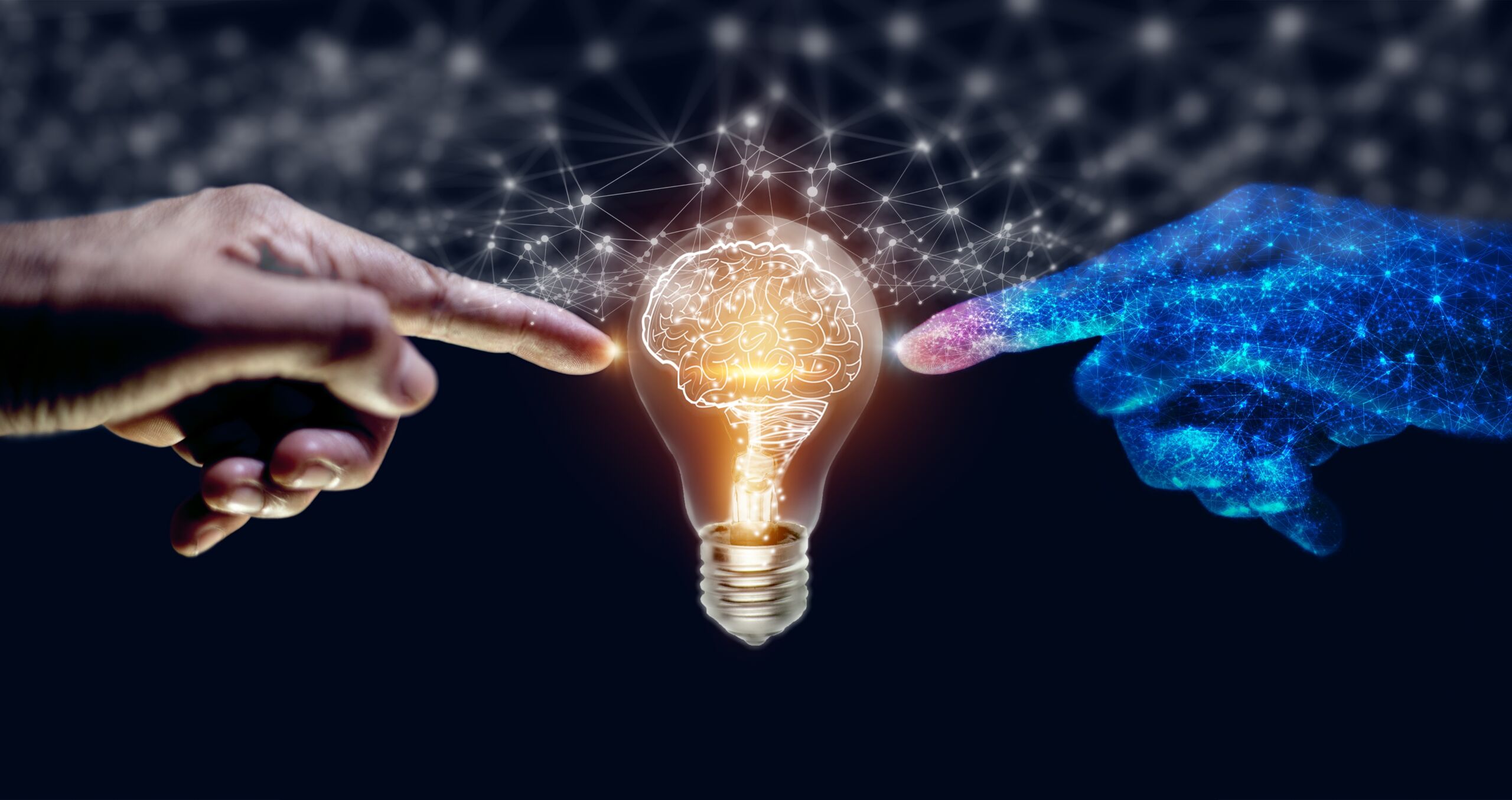 shutterstock 2281453509 1 scaled 1