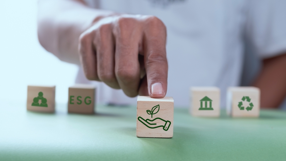 shutterstock 2317830795 1