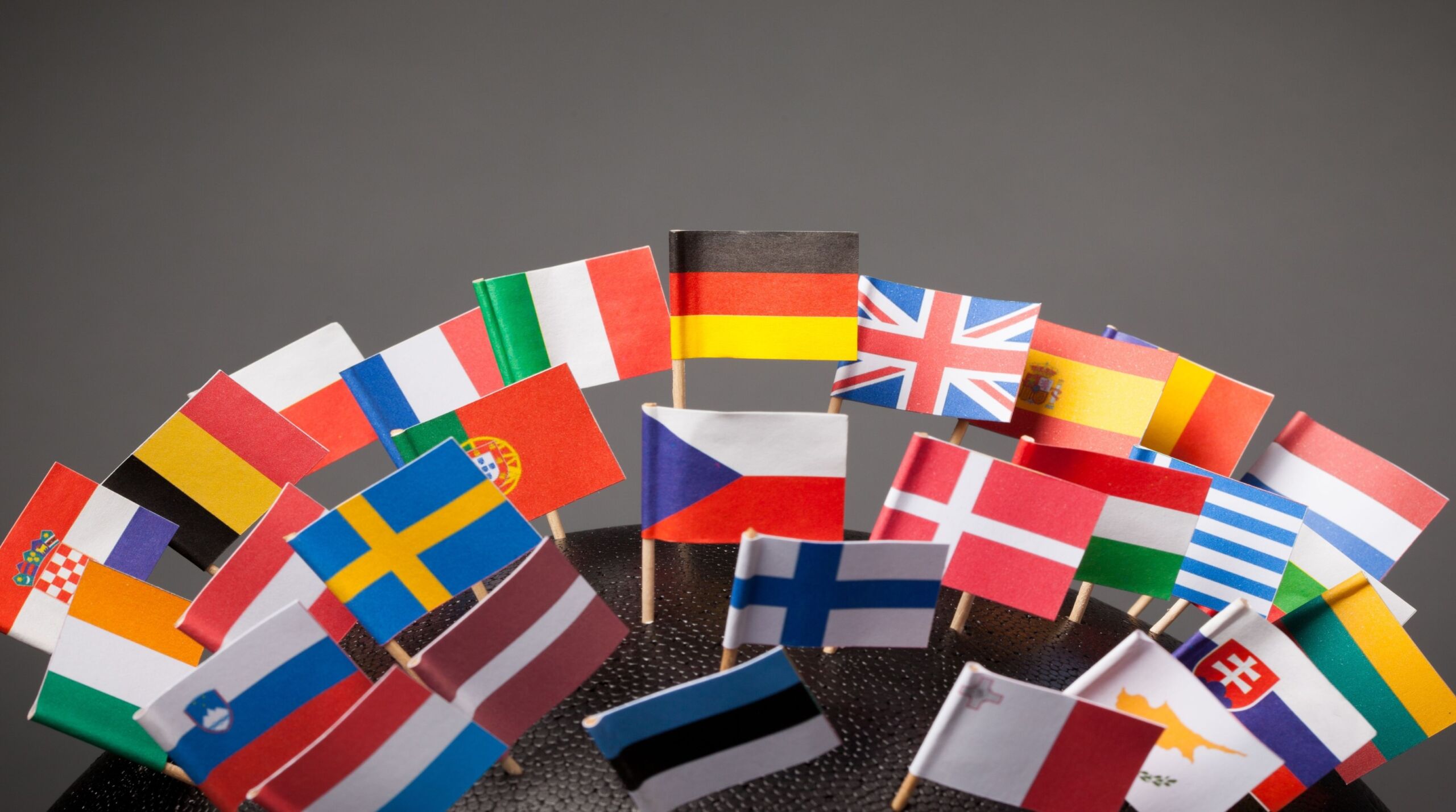 shutterstock 2359521829 scaled 2