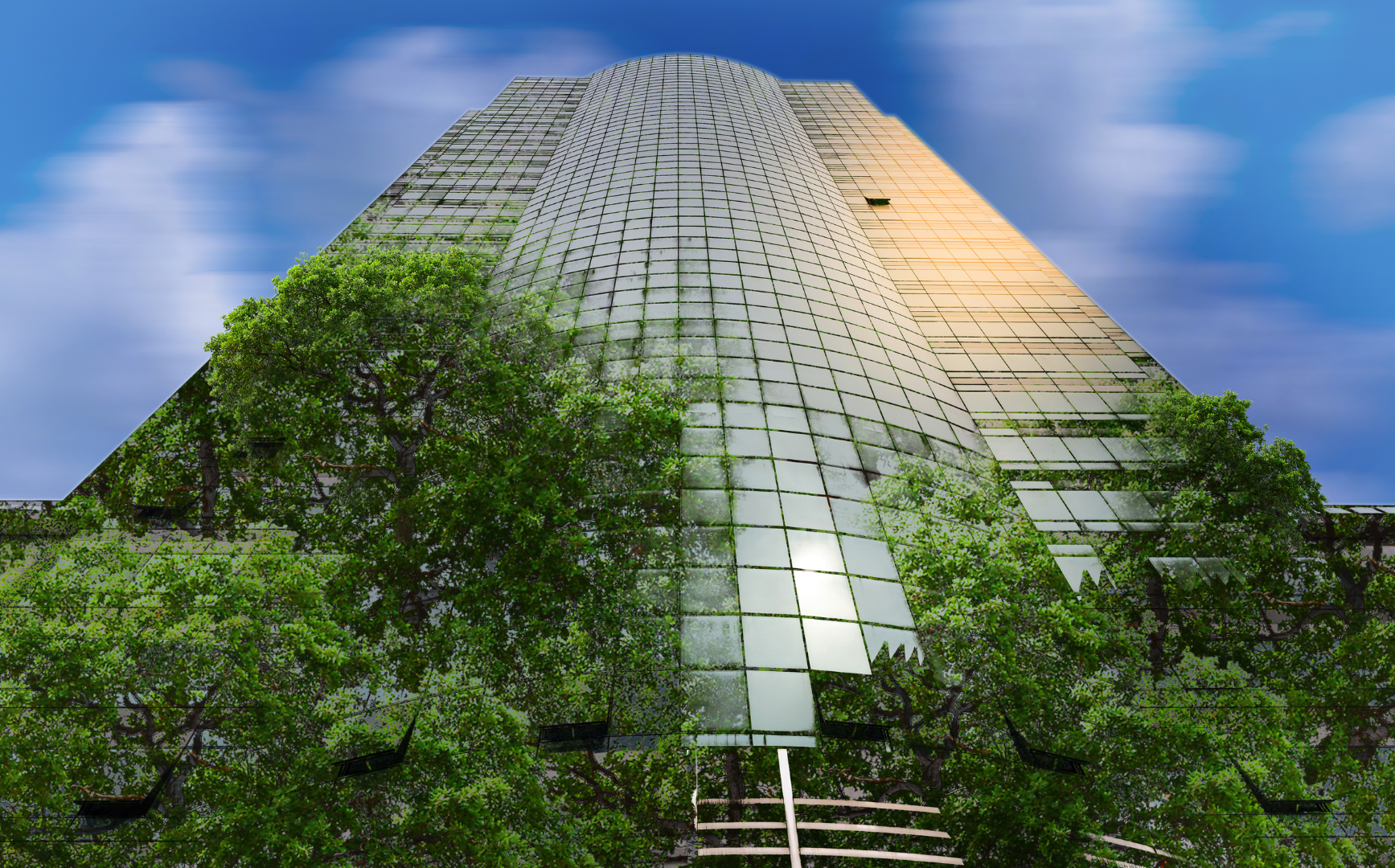 NADBank otorga crédito sustentable en favor de Sofoplus y Plus Leasing