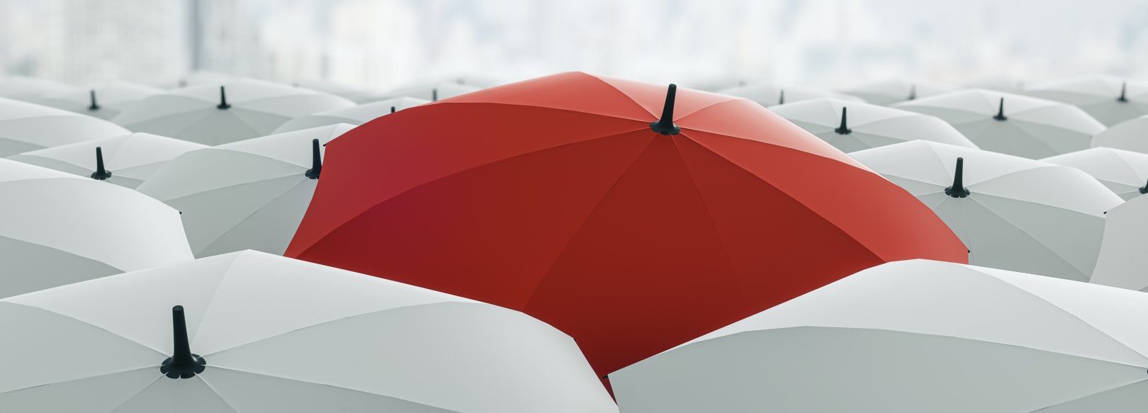 shutterstock 2418471469