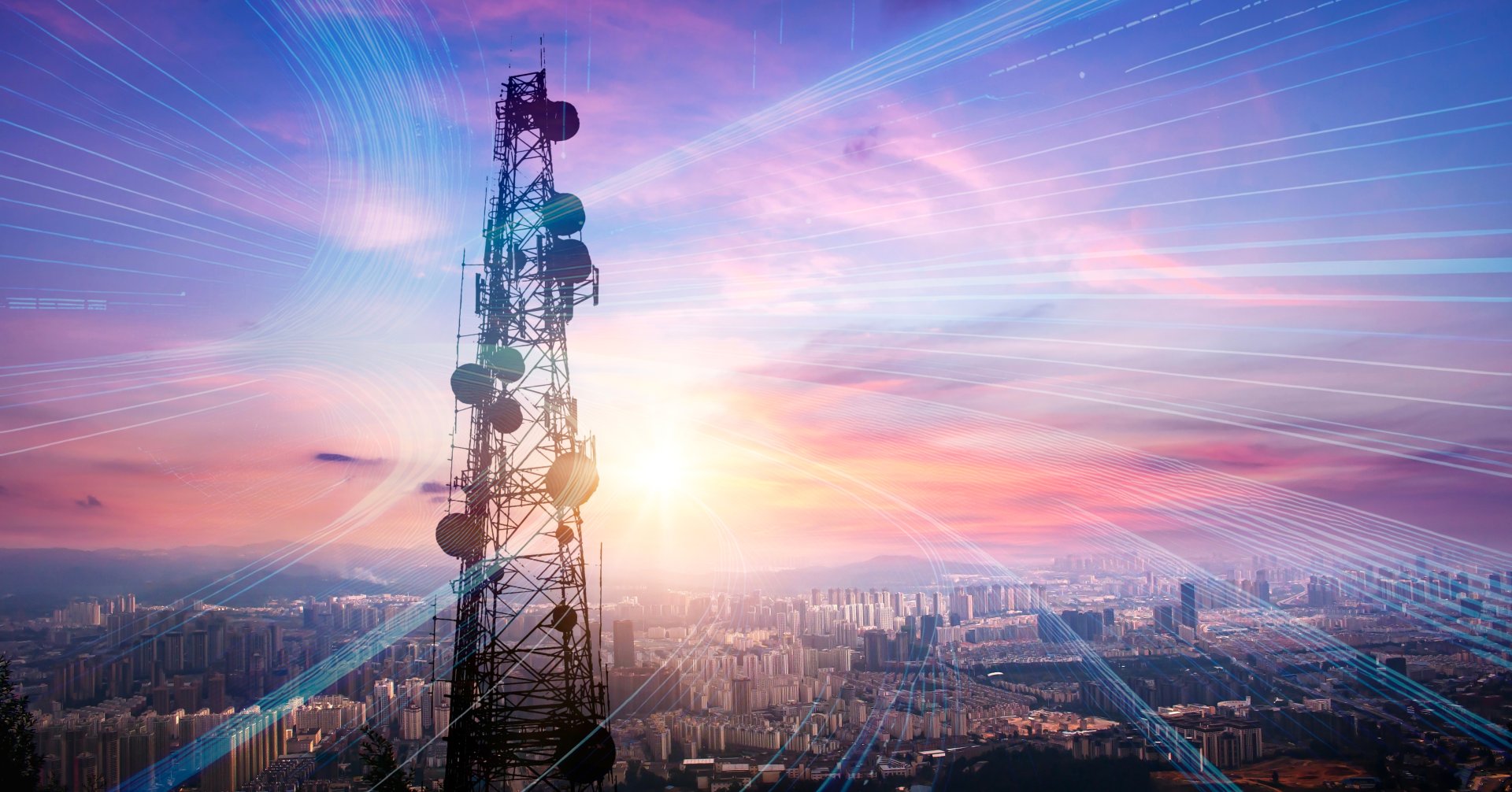 shutterstock 2551780273