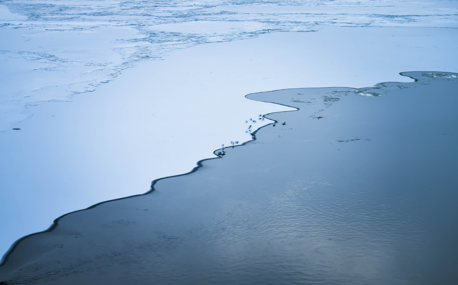 TAMAÑO PáginaWeb