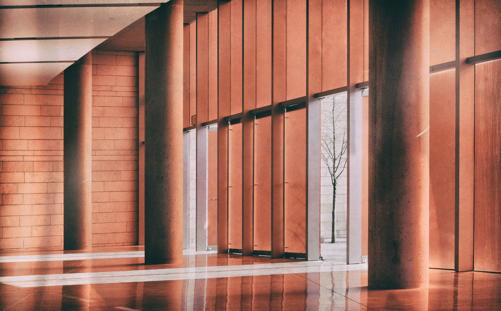 santamarina steta convocatorias asambleas accionistas