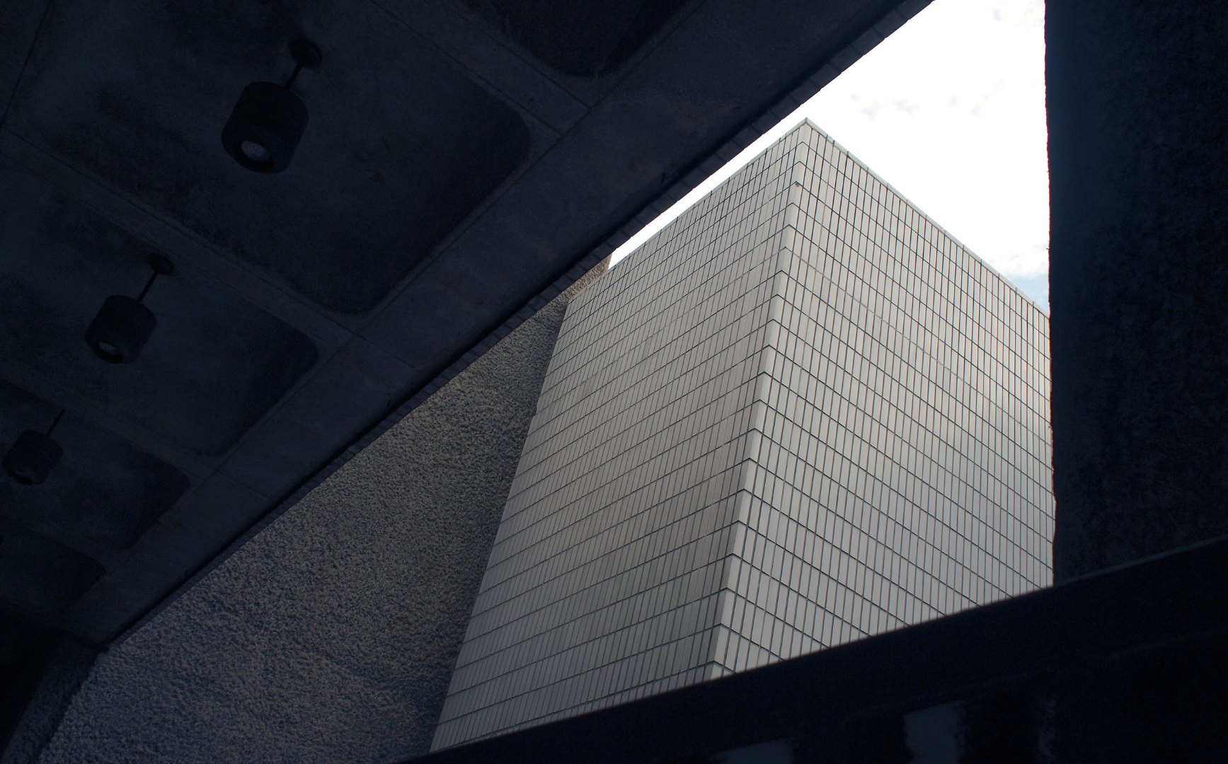 santamarina y steta litigio asambleas de accionistas