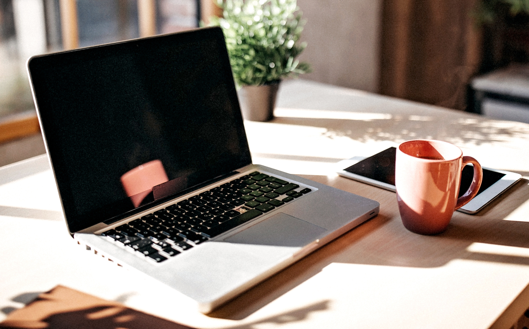 santamarina y steta plataformas digitales en México