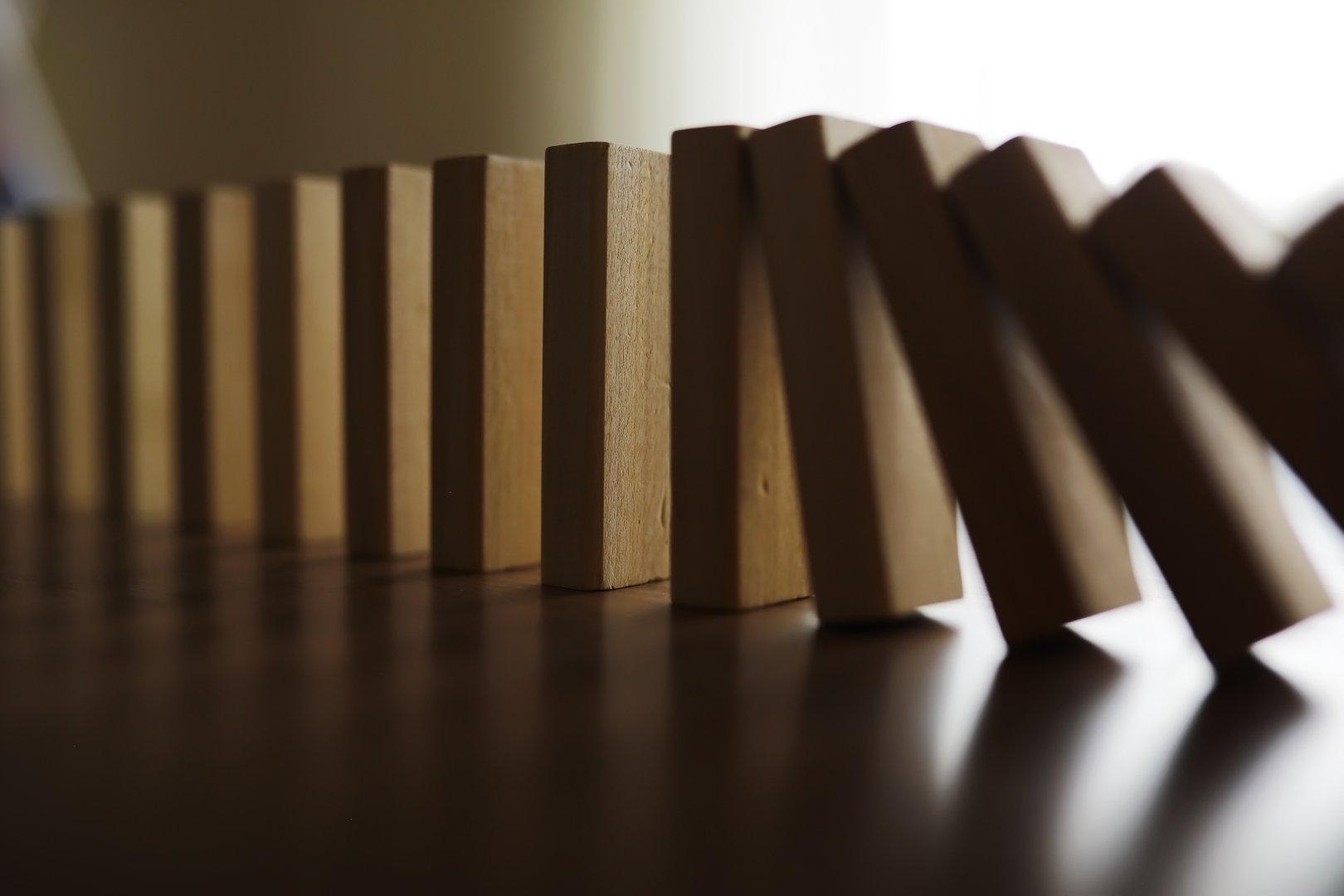 santamarina steta adquisición de activos de una empresa declarada en quiebra