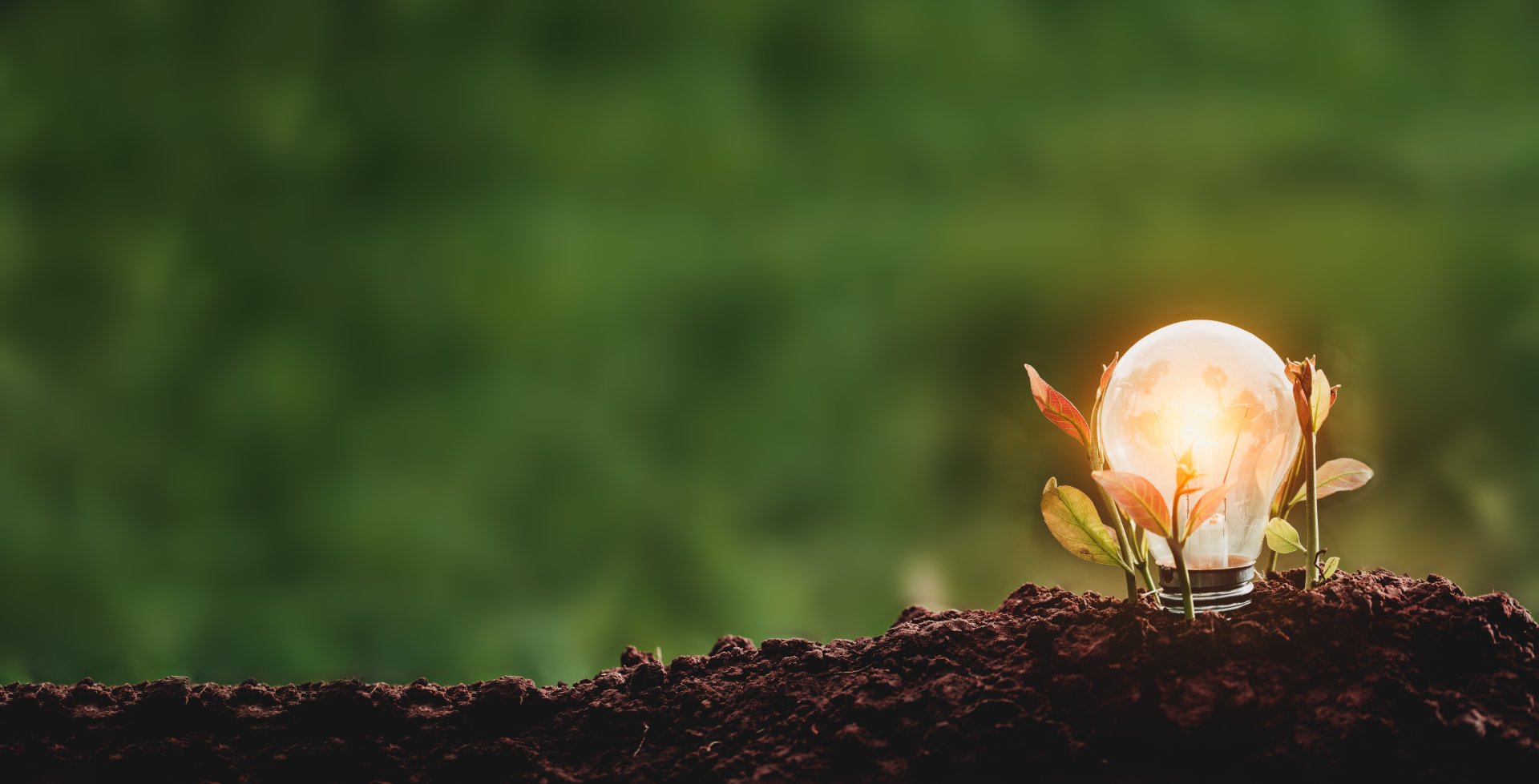 santamarina steta arbitraje sustentable