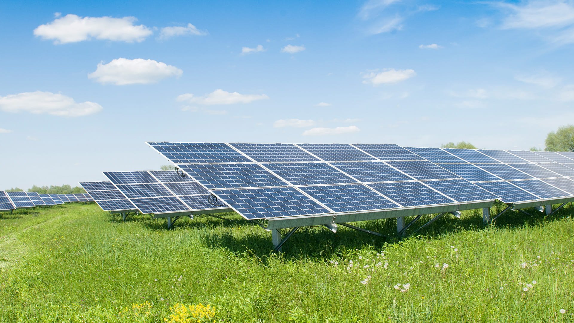 santamarina steta podcast reglamentos de la ley del sector electrico