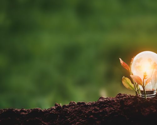 santamarina steta arbitraje sustentable