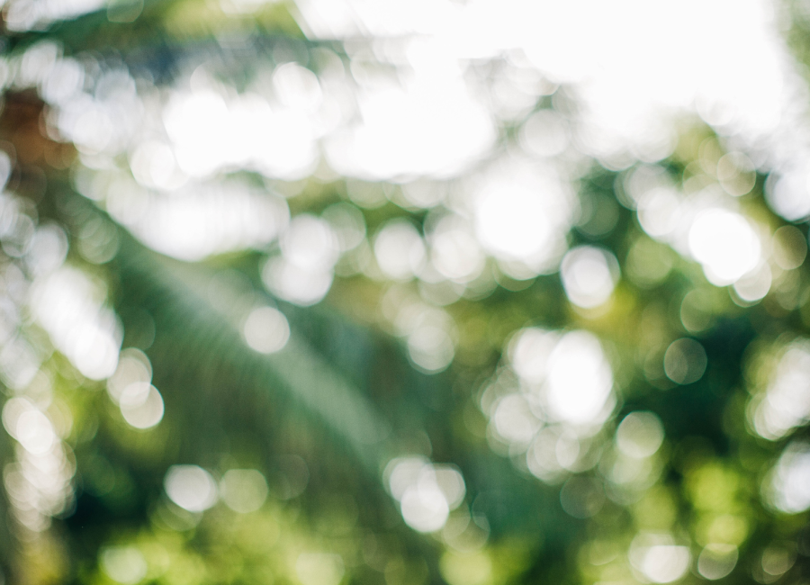 santamarina steta ley general de economía circular