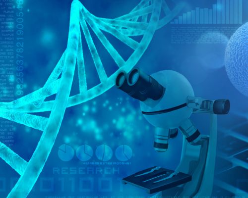 International Bar Association sitio