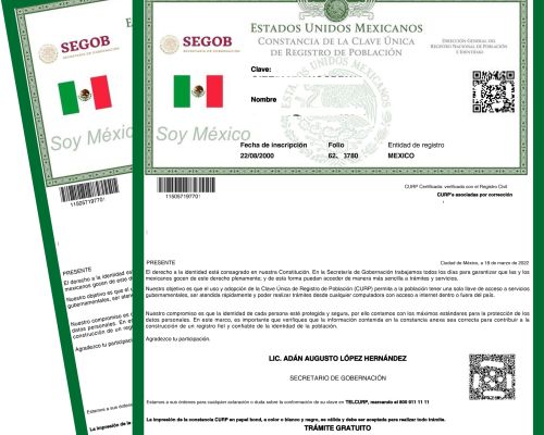 imagen curp ALMG 18 03 22 jpg 1