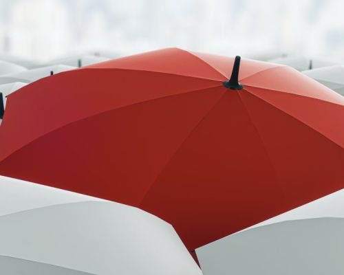 shutterstock 2418471469