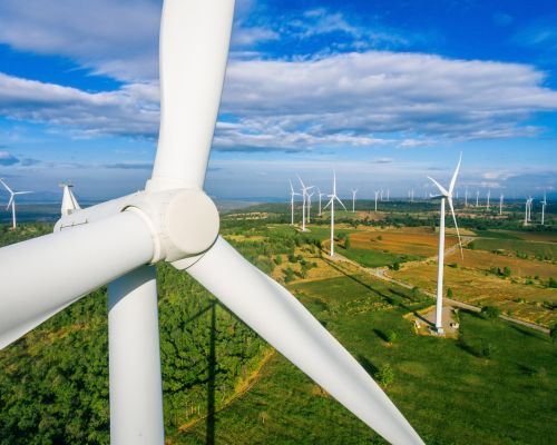 shutterstock 613952867